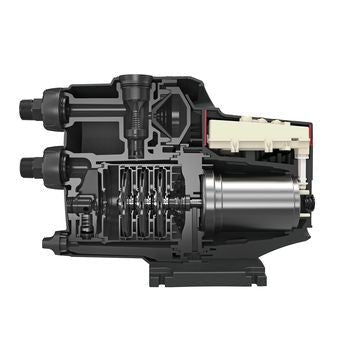 SCALA1 Pump Internal
